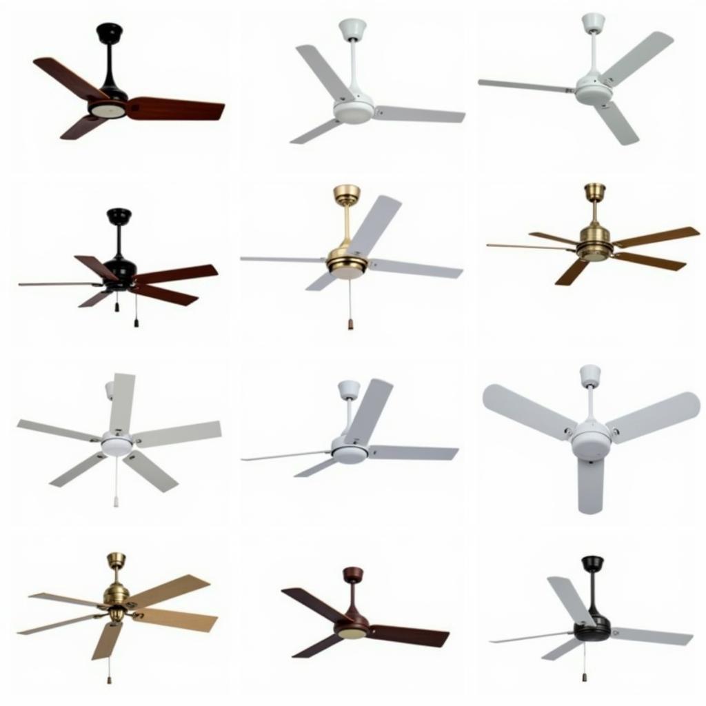 Various 12 Watt Ceiling Fan Models