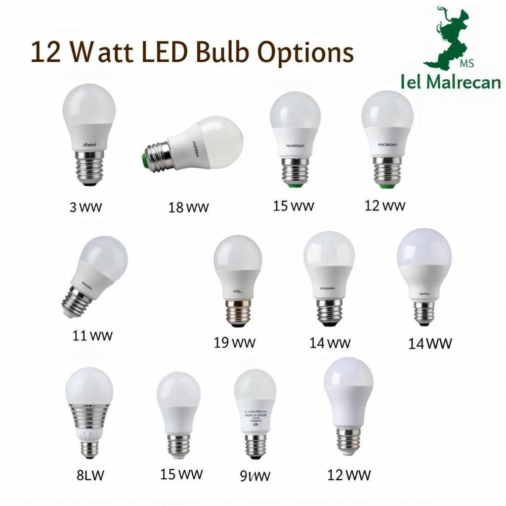 12 Watt LED Bulb Variety