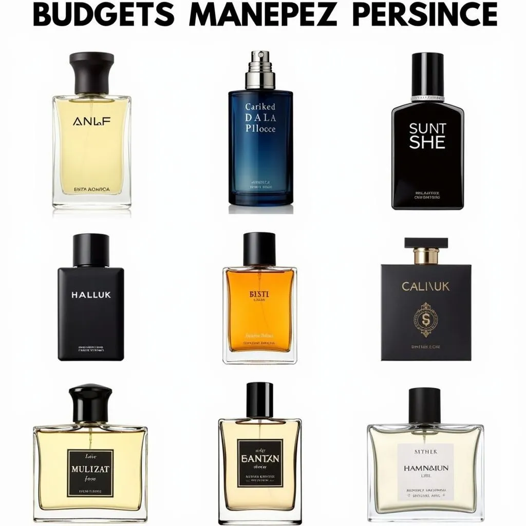 Affordable Male Perfumes in Pakistan