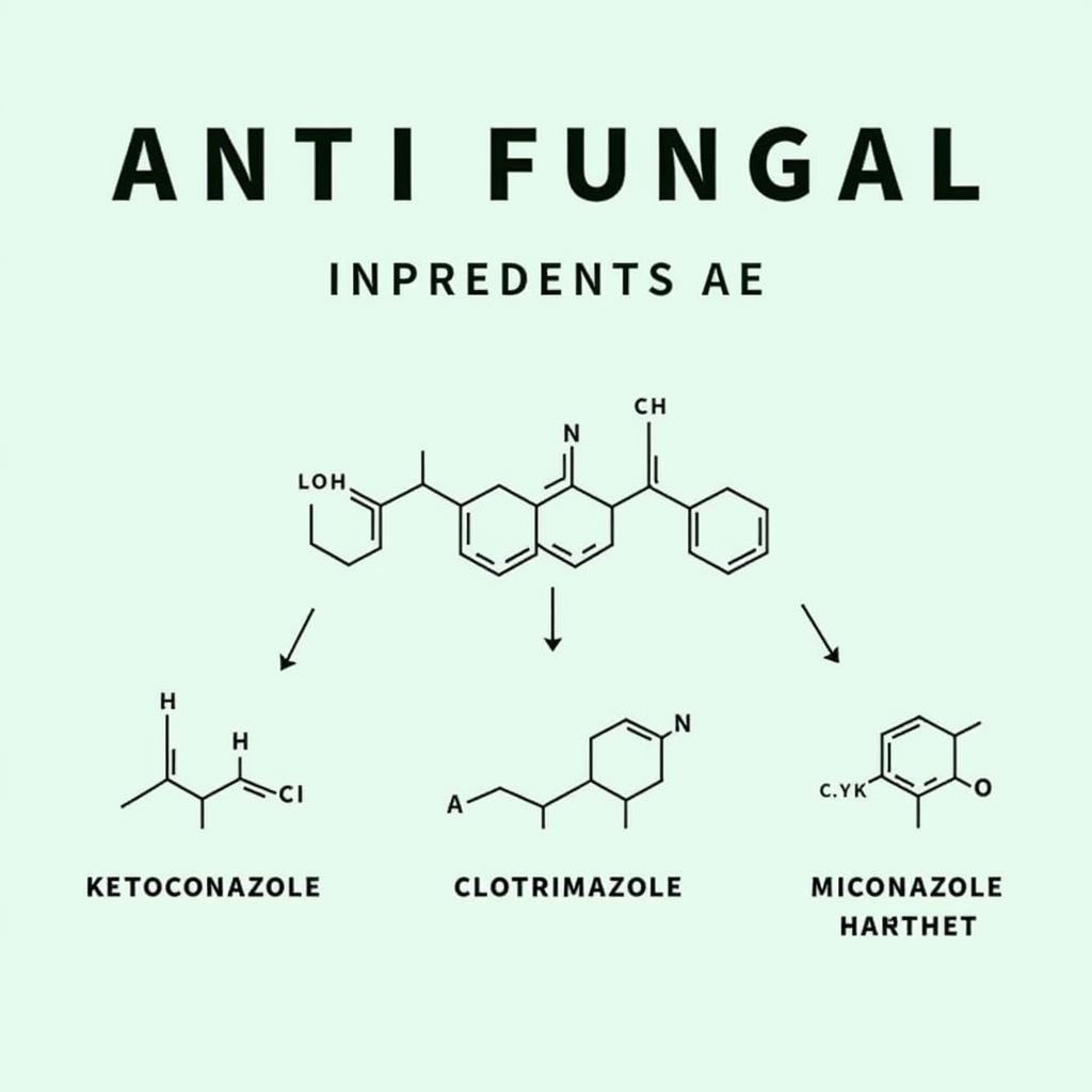 Key Antifungal Ingredients