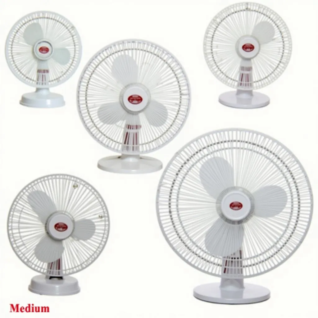 Asia Fan Sizes in Pakistan