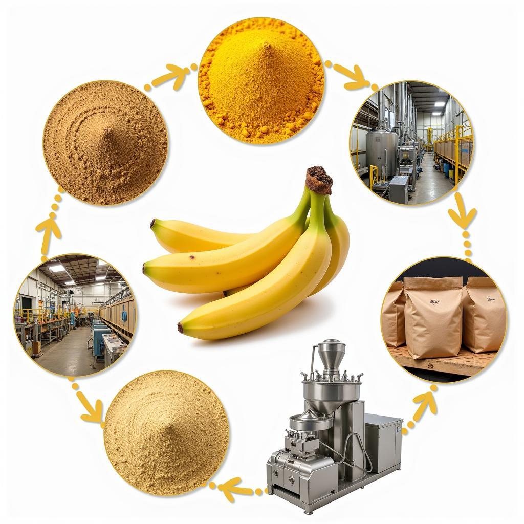 Banana Powder Production in Pakistan