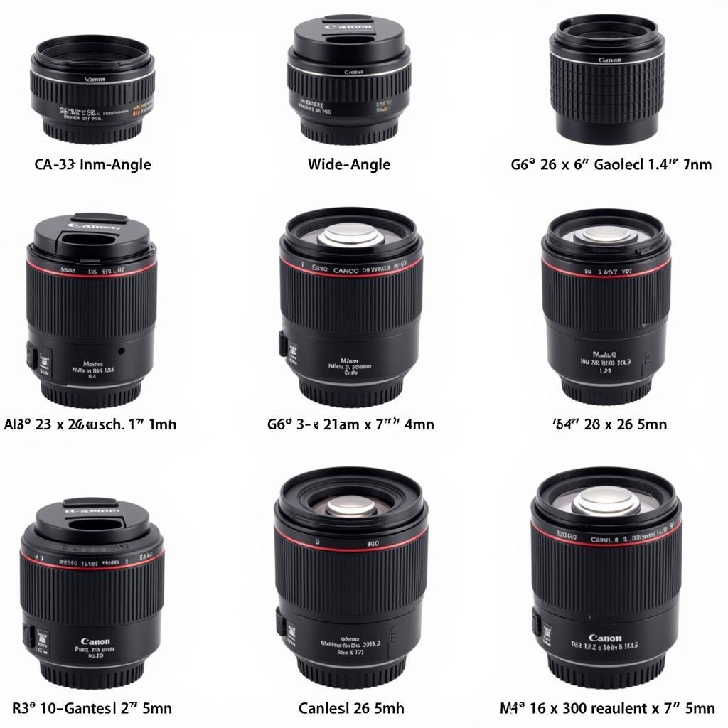 Popular Canon Camera Lenses