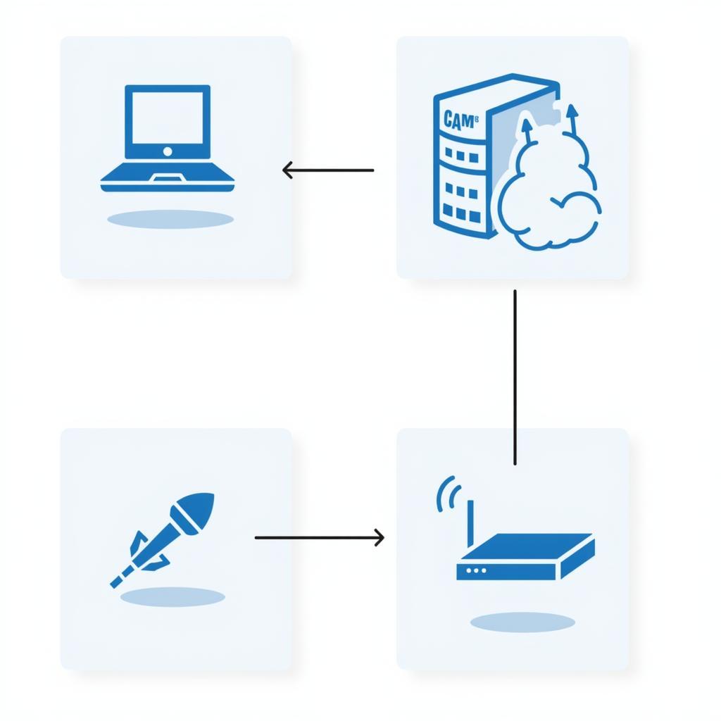 CCCAM Cline Network Diagram