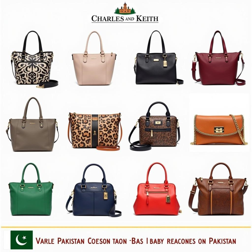 Charles and Keith Bags in Pakistan: A Showcase of Popular Styles