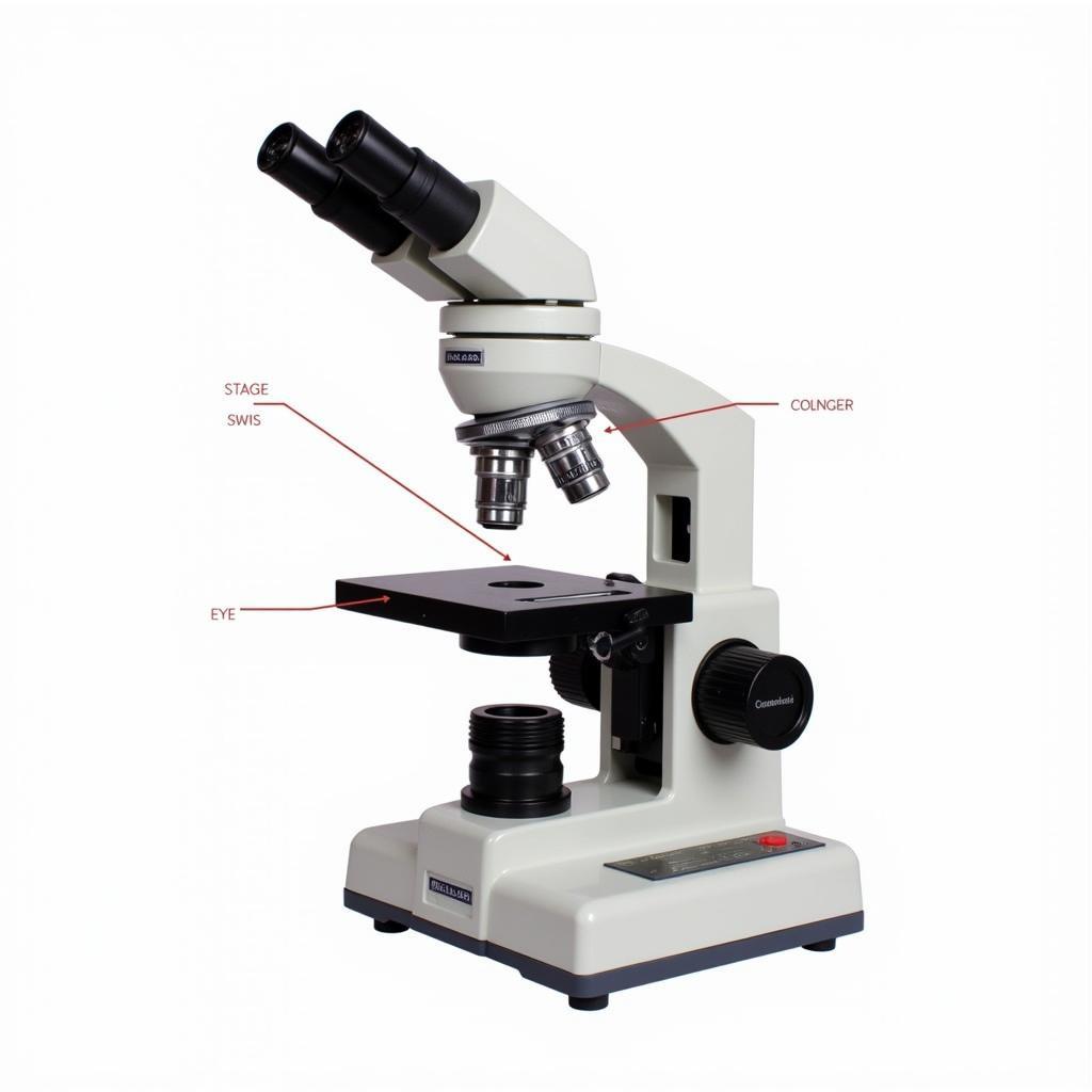 Compound Microscope Components