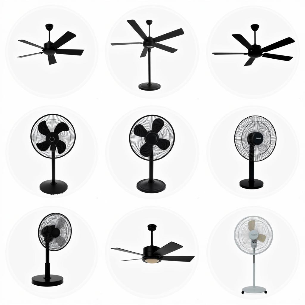 Different Fan Types in Pakistan