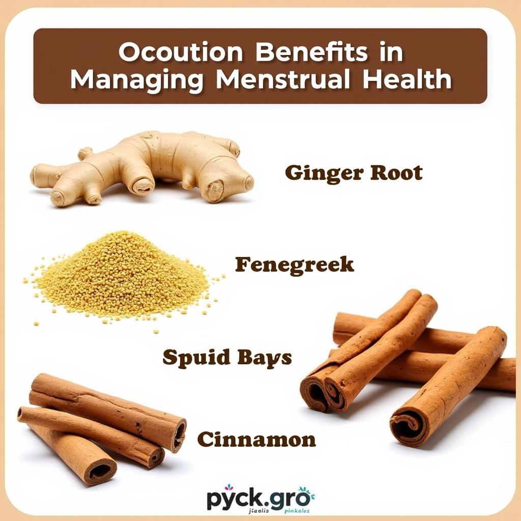 Natural ingredients beneficial for menstrual health