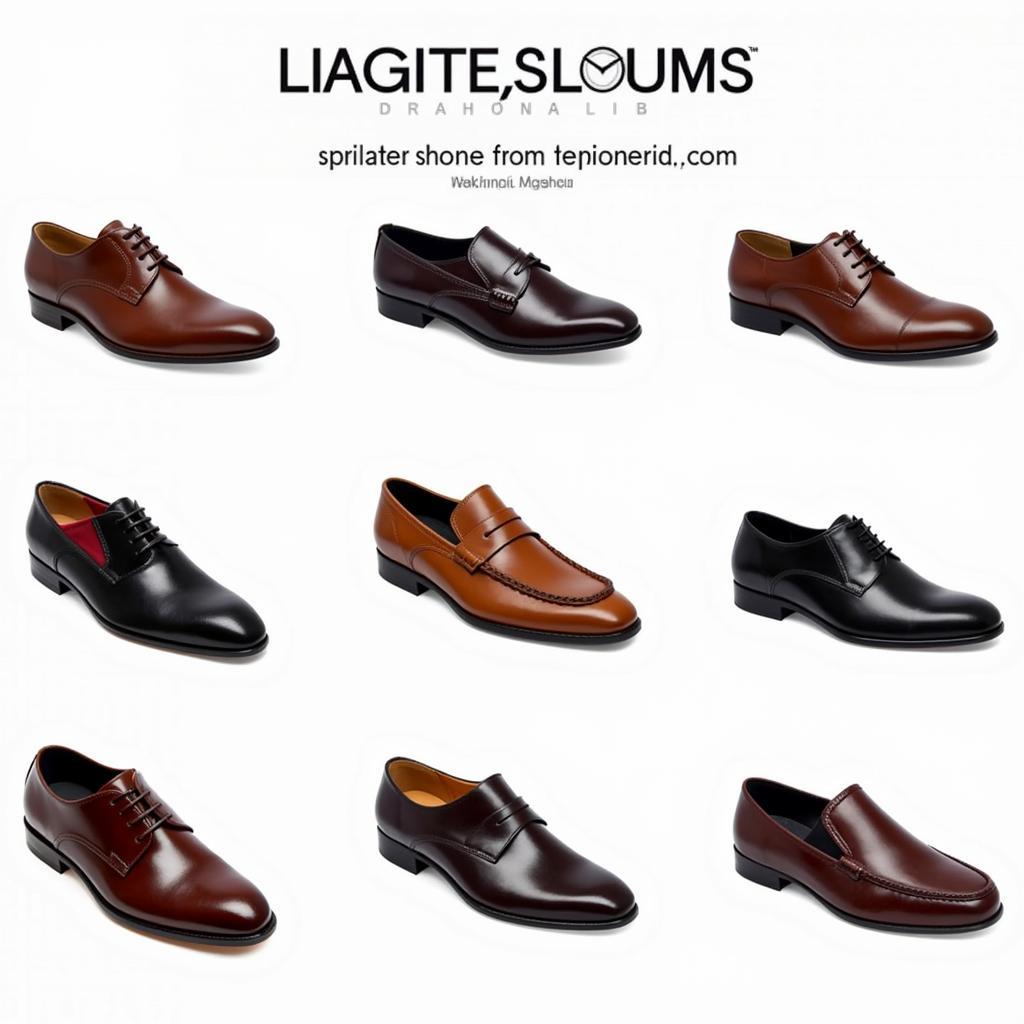 Showcase of Different Pakistani Leather Shoe Brands