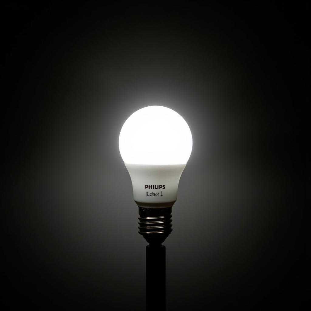 Philips LED Bulb Energy Saving