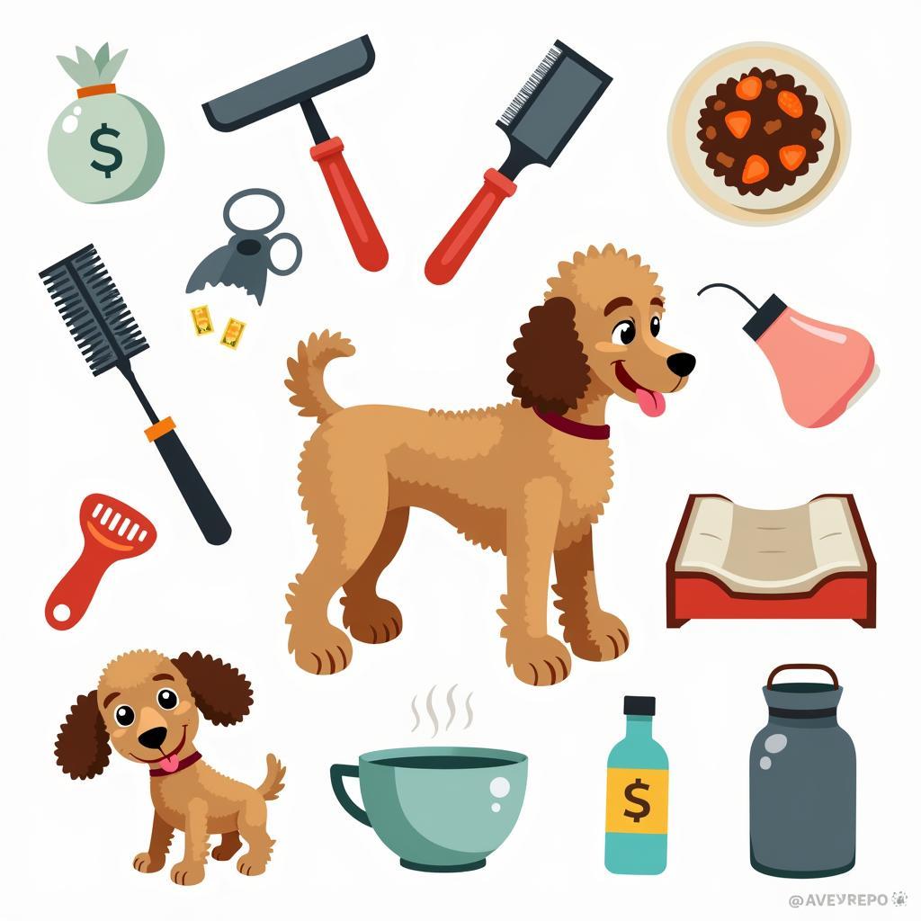 Poodle Care Essentials in Pakistan