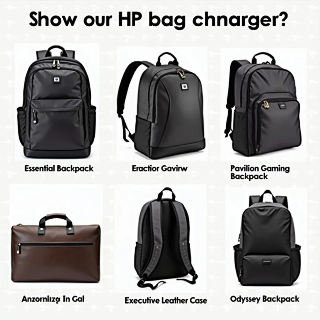 Popular HP Bags in Pakistan