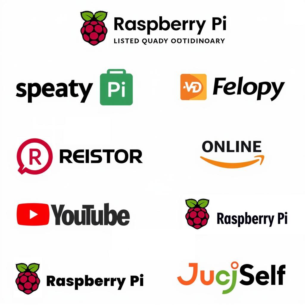 Where to Buy Raspberry Pi in Pakistan