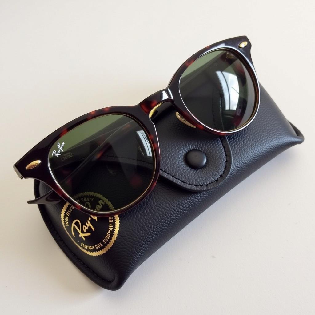 Rayban Sunglasses in Case