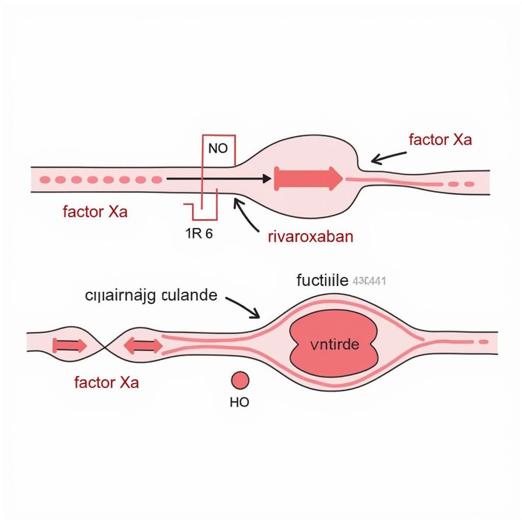 Rivaroxaban Mechanism of Action