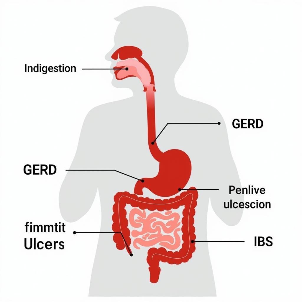 Common Stomach Pain Causes