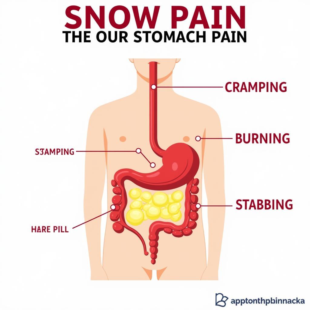 Types of Stomach Pain