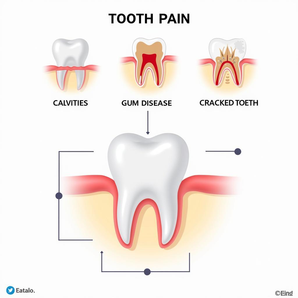 Common Tooth Pain Causes in Pakistan