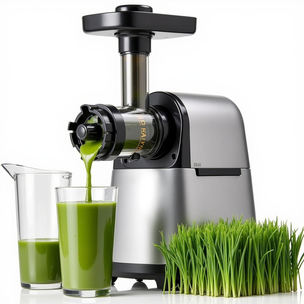 Twin Gear Juicer for Sale in Pakistan