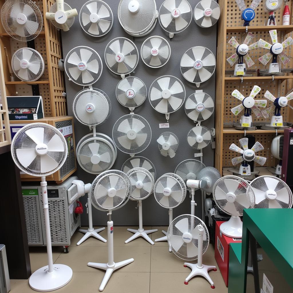 Variety of Fans on Display in Pakistan Store