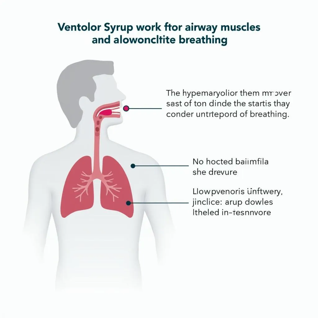 Ventolin Syrup mechanism of action