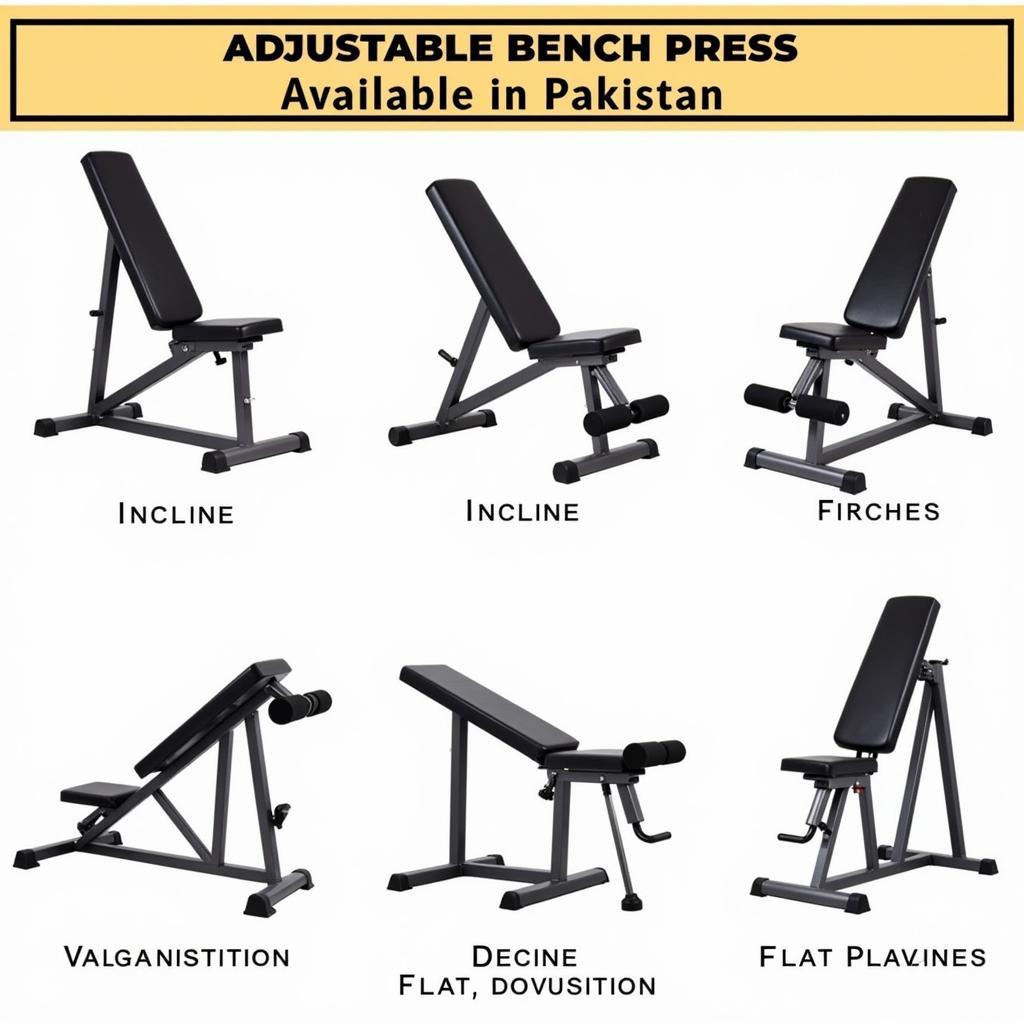 Adjustable Bench Press Options in Pakistan