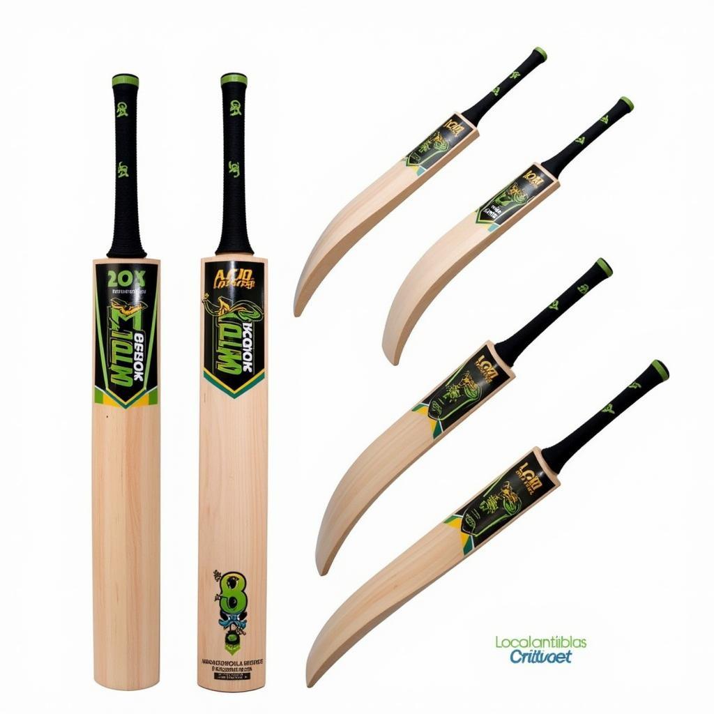 Affordable Cricket Bats in Pakistan