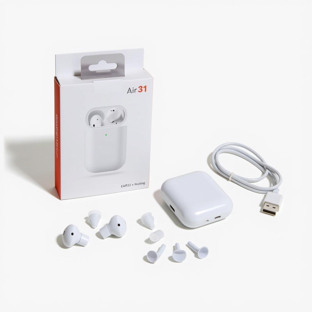 Air 31 Earbuds Packaging and Accessories