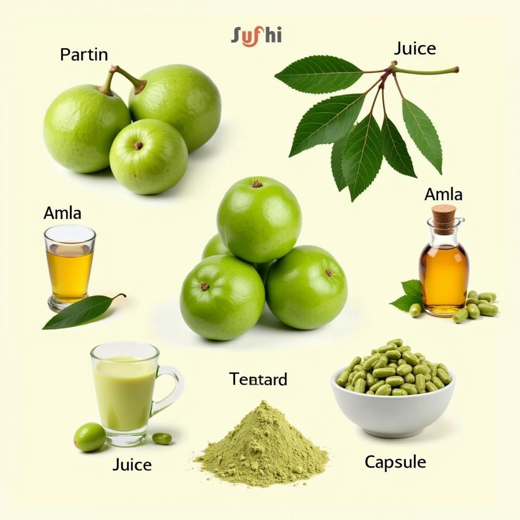 Amla fruit and its various health benefits