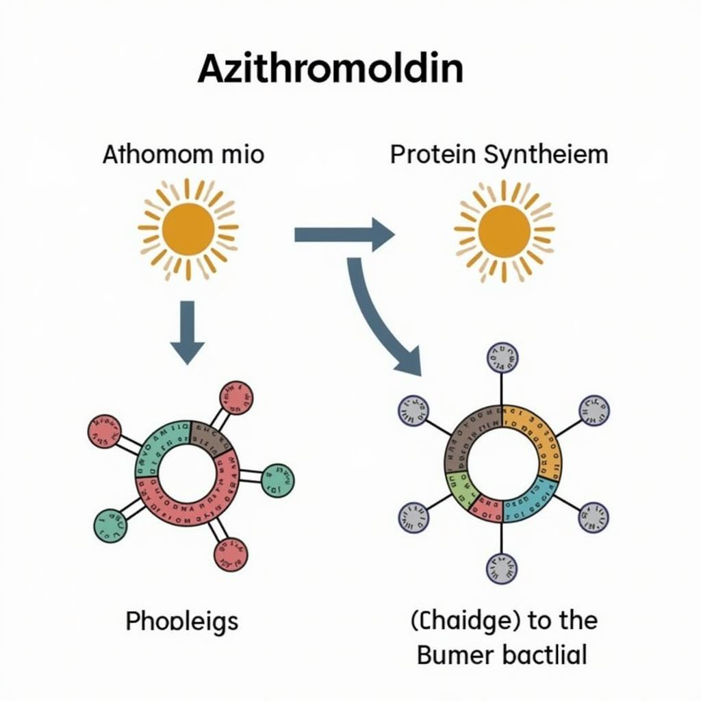 Azithromycin Mechanism of Action Illustration