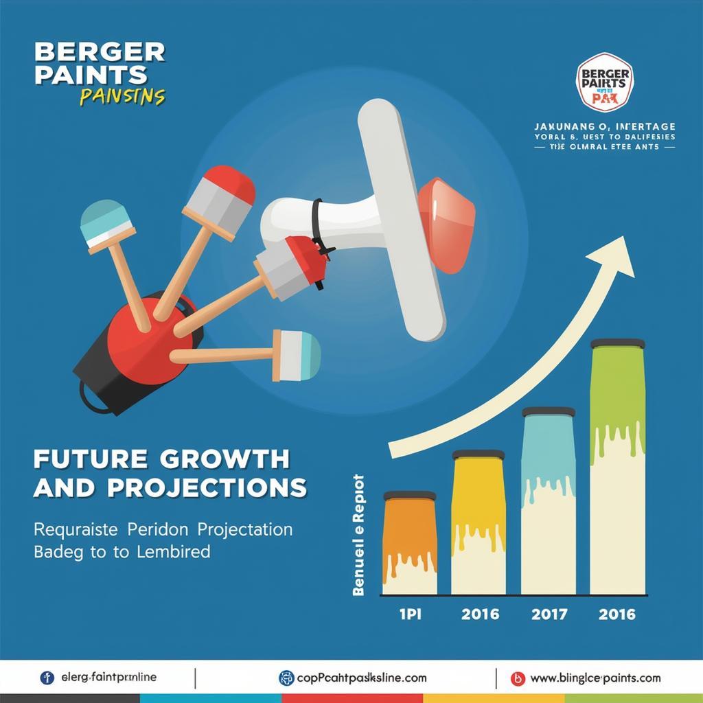 Berger Paints Pakistan Future Outlook in 2016