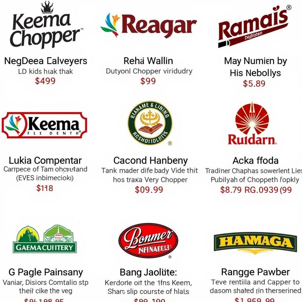 Best Keema Chopper Brands in Pakistan