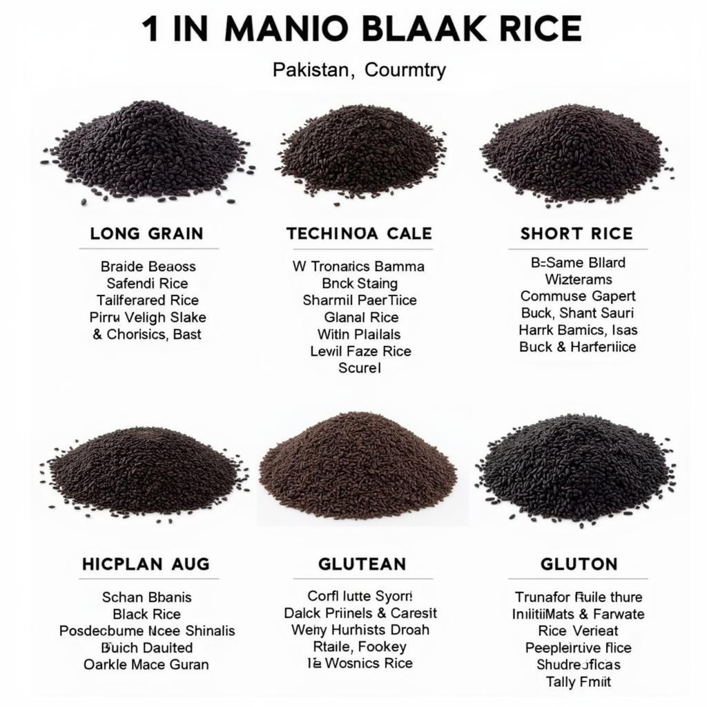 Black Rice Varieties Available in Pakistan