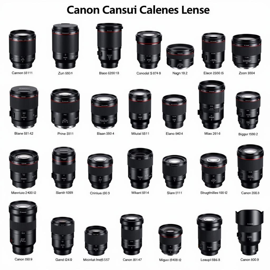 Canon Camera Lenses Available in Pakistan: A Visual Guide to Popular Options