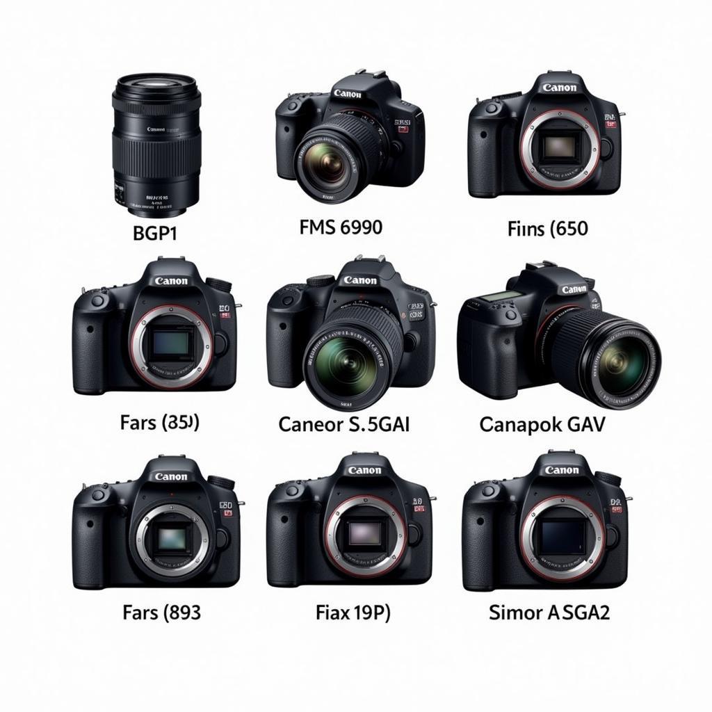 Canon Camera Prices in Pakistan: A Visual Guide