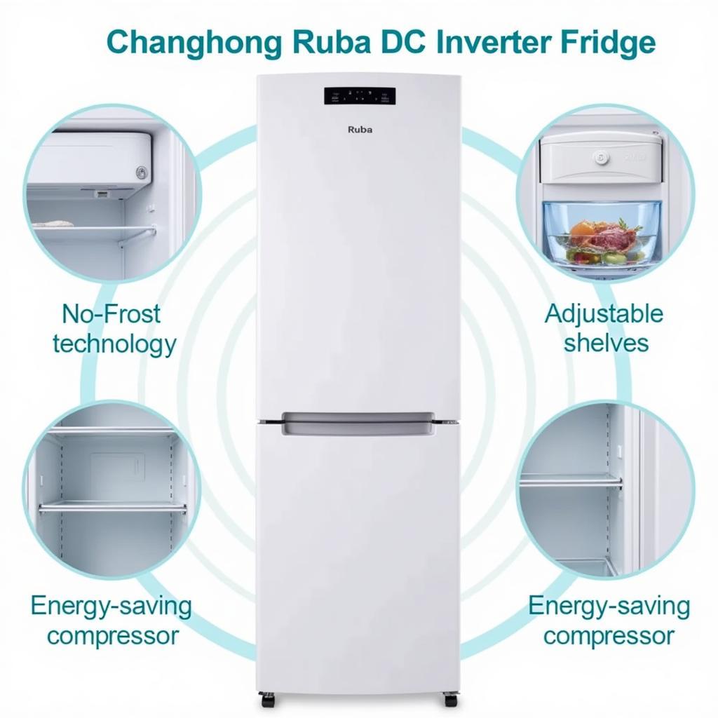 Changhong Ruba DC Inverter Fridge Key Features Highlight