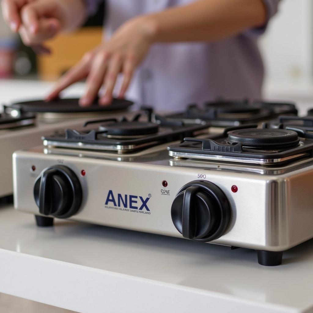 Choosing the Right Anex Hot Plate for Your Needs