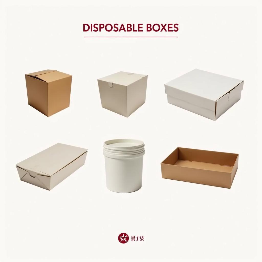 Disposable Box Variety in Pakistan