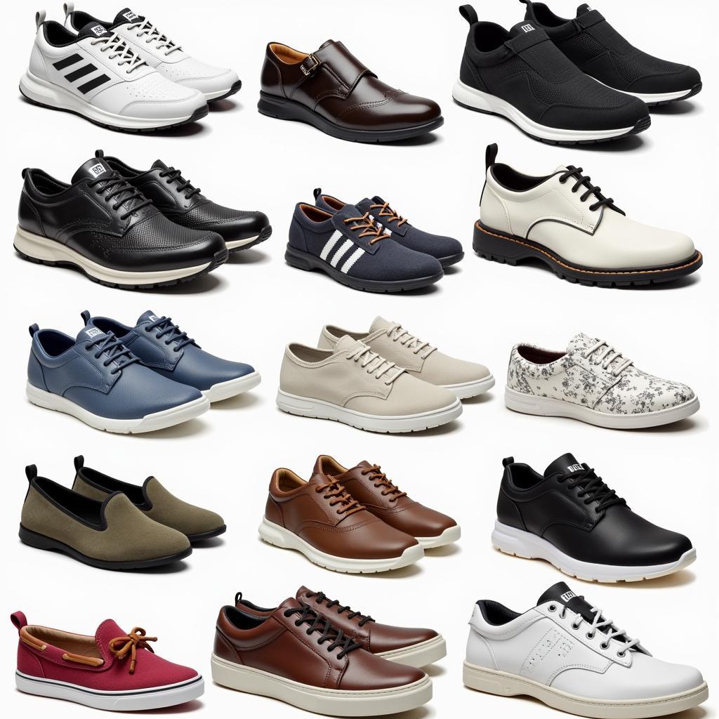 Different Styles of DMS Shoes