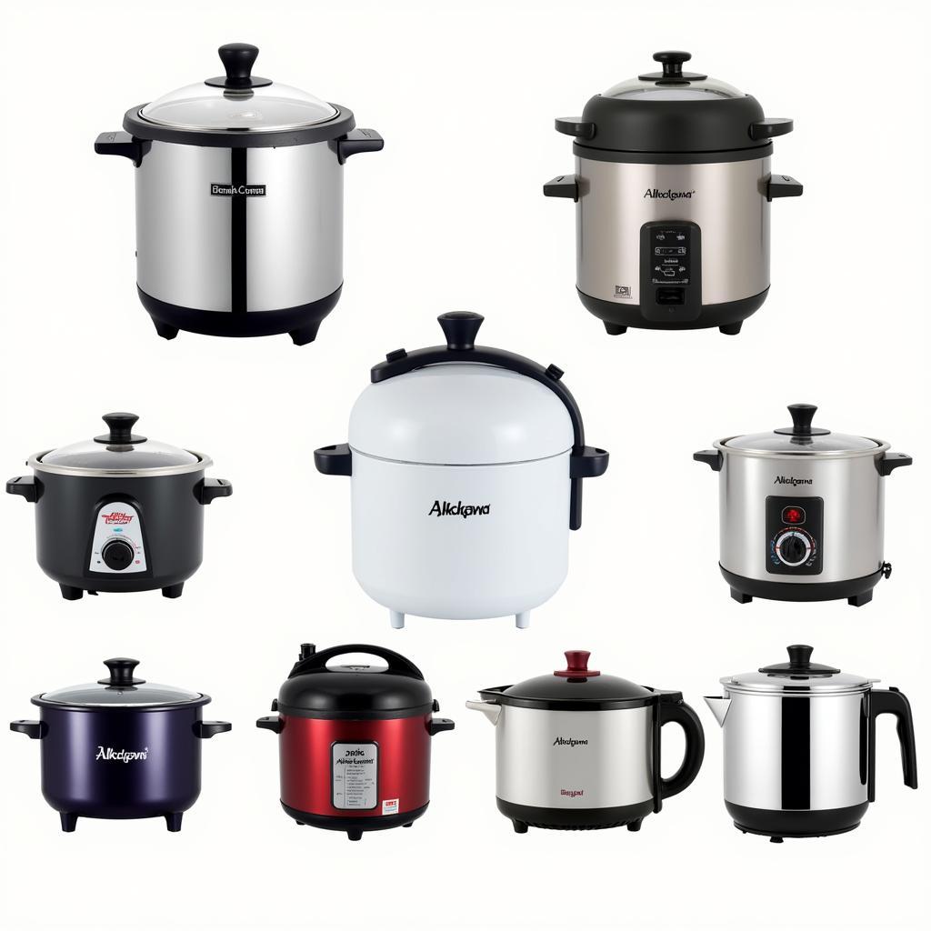 Various Electric Cooker Models Available in Pakistan