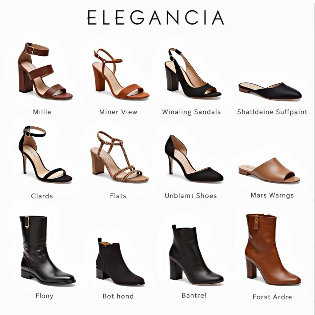 Elegancia Women's Shoes Collection