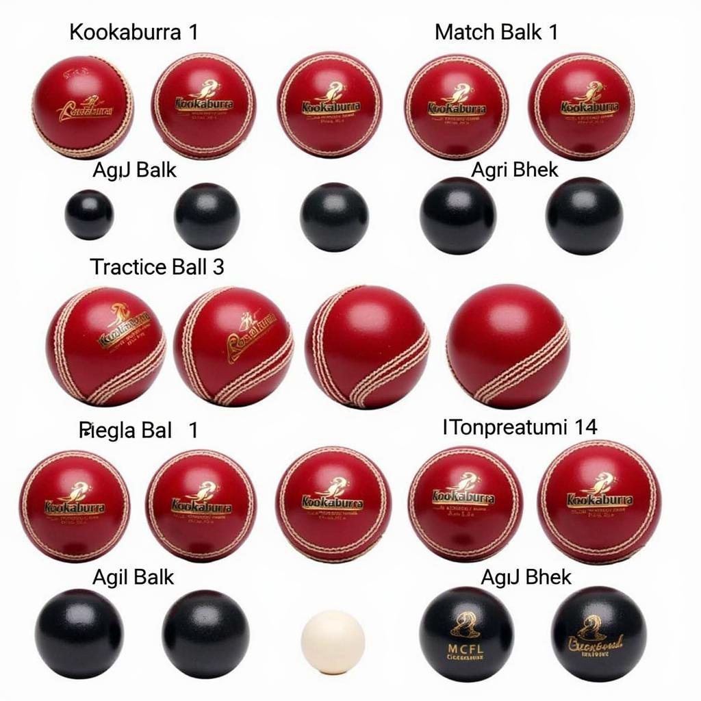 Different Kookaburra Ball Types in Pakistan