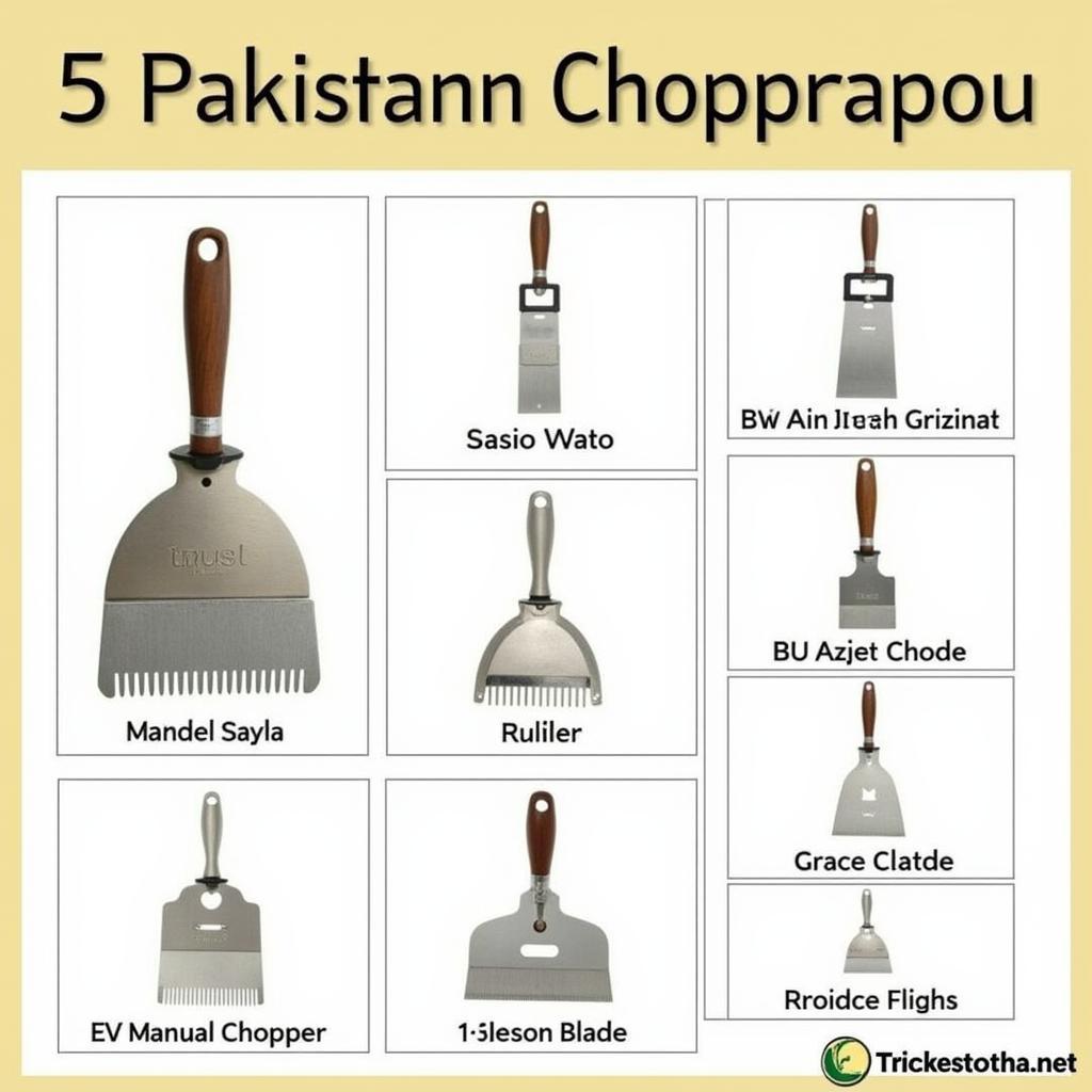 Variety of Manual Choppers Available in Pakistan