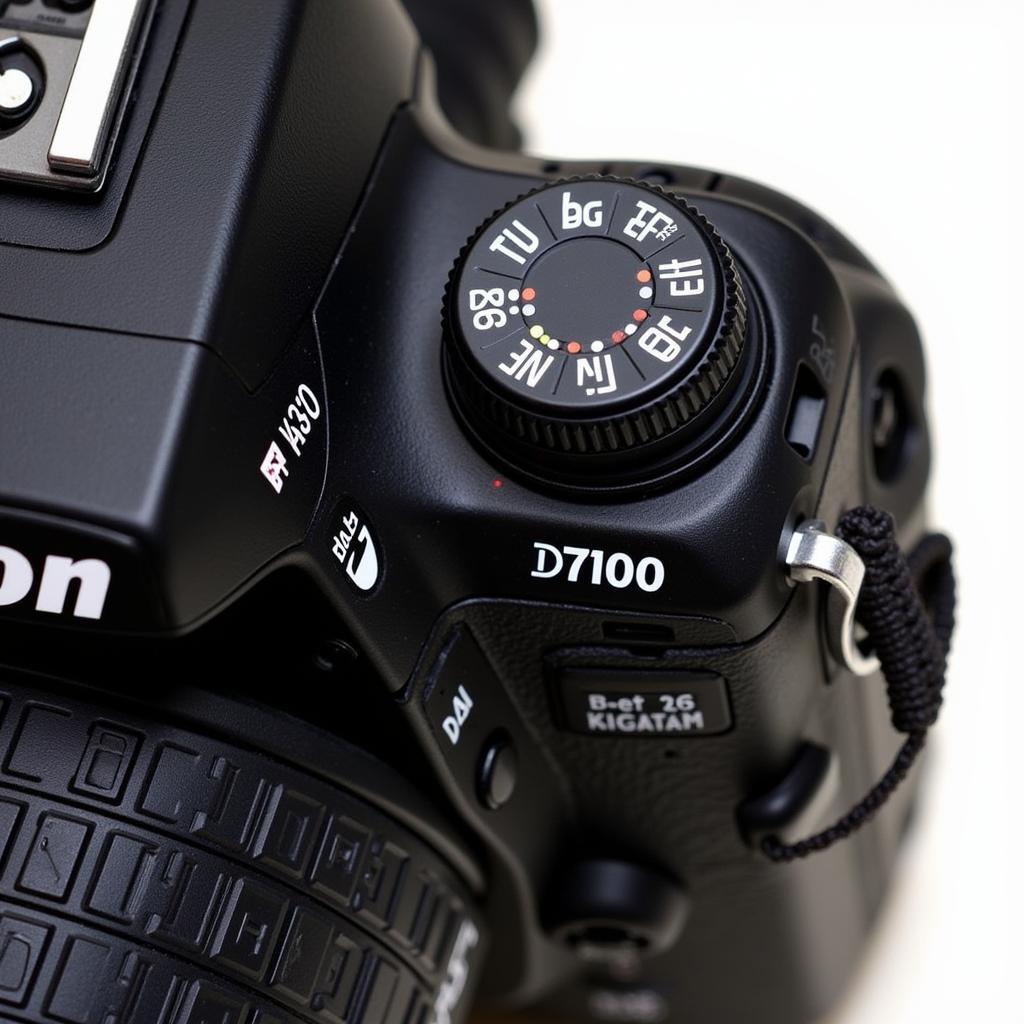 Dslr D Price In Pakistan A Comprehensive Guide Pakistan News