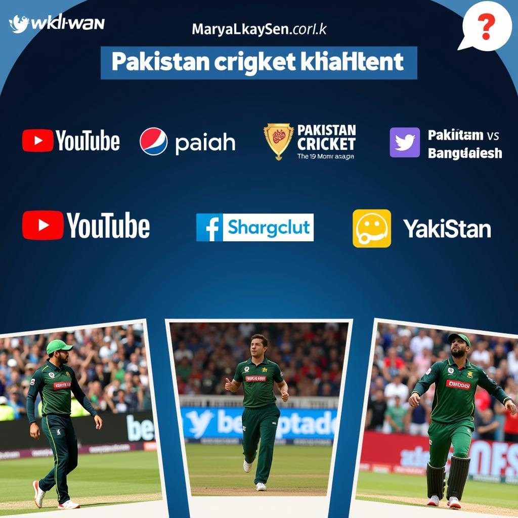 Pakistan vs Bangladesh 2021 Match Highlights on Different Platforms