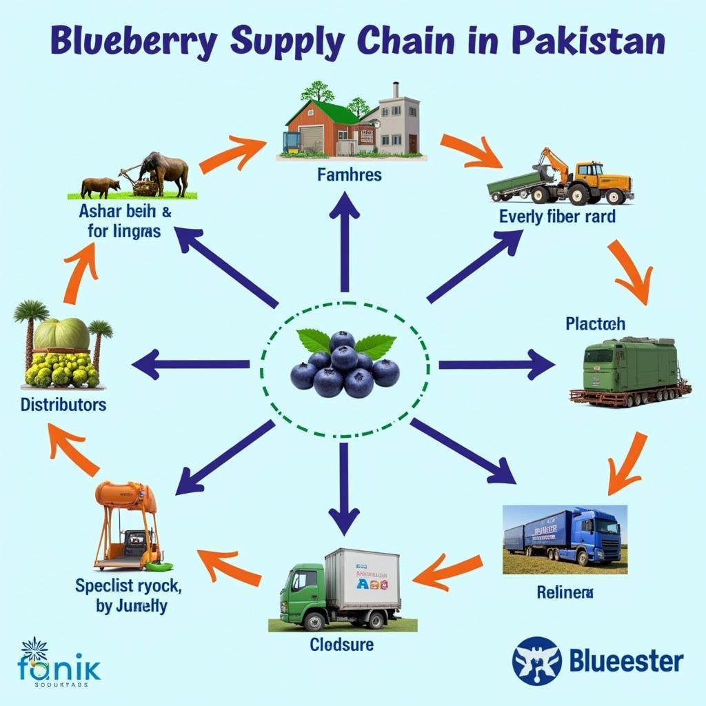 Blueberry Supply Chain in Pakistan