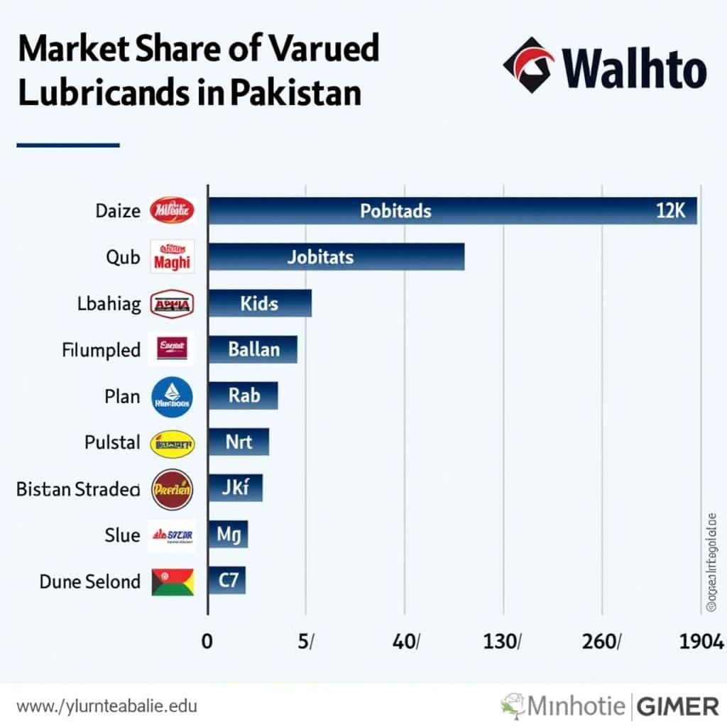 Pakistan Lubricant Market Overview