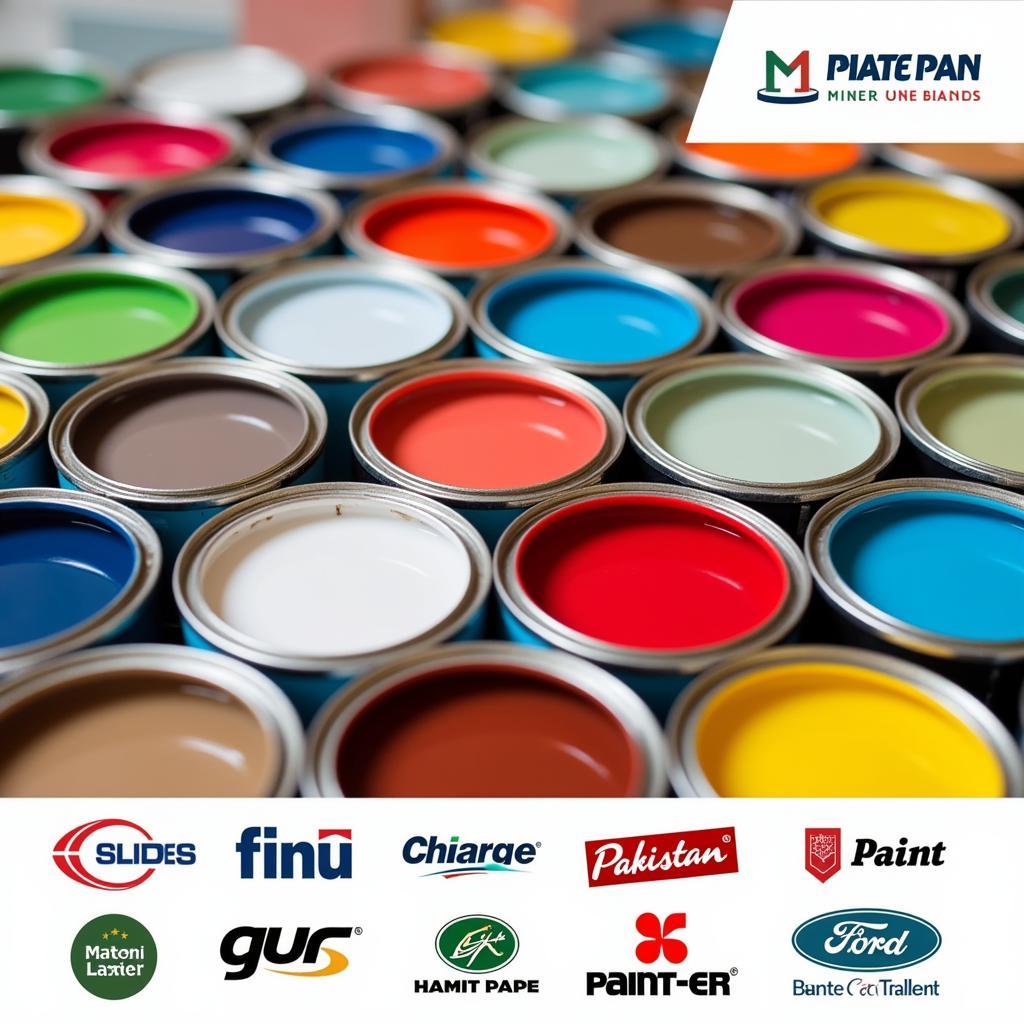 Pakistani Paint Market Overview