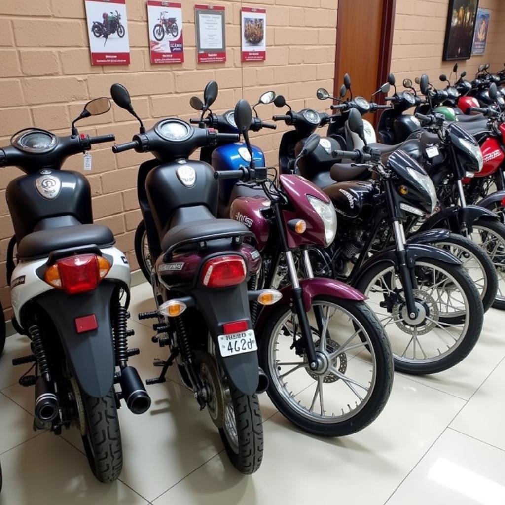 Popular 150cc Bikes in Pakistan Displayed at a Showroom