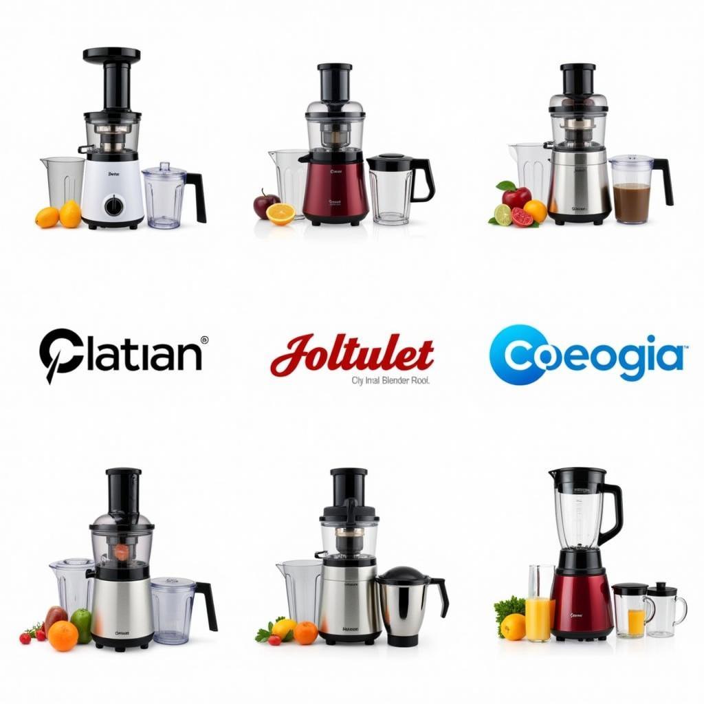 Popular 3-in-1 Juicer Blender Brands in Pakistan